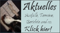 Aktuelles