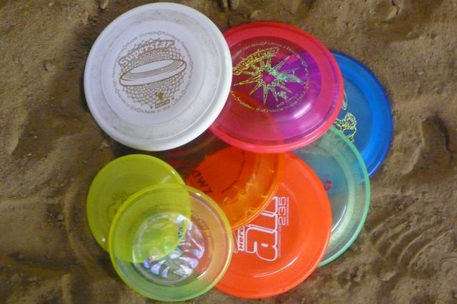 DogFrisbee