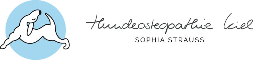 Hundeosteopathie Kiel