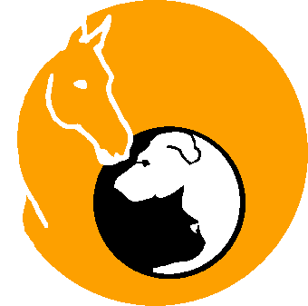 Tierakupunktur Meyer